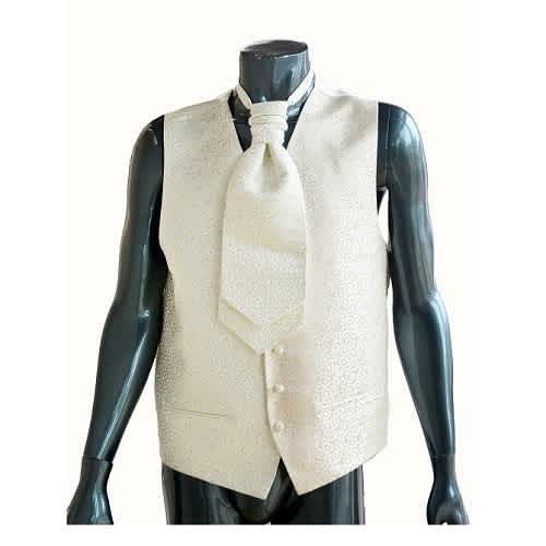 Waistcoat and cravat 2025