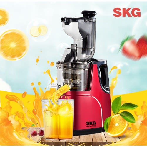 Skg slow masticating juicer cheap