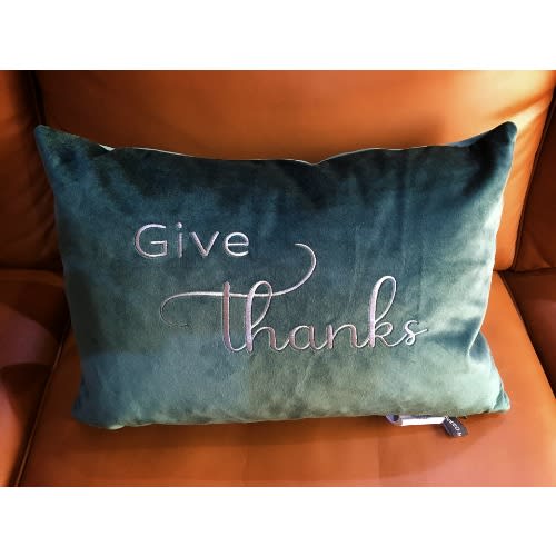 Rodeo home velvet pillows on sale