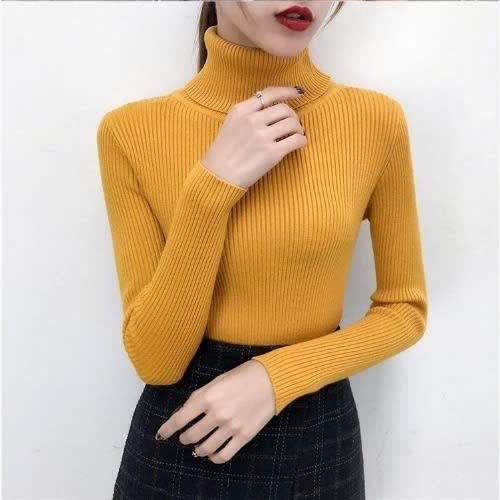 Ladies turtleneck top discount