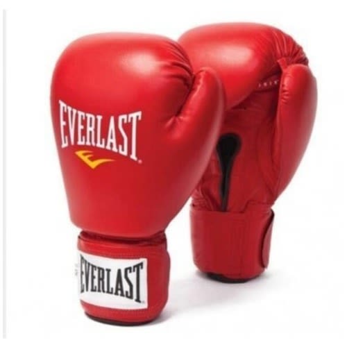 Everlast Leather Boxing Glove.