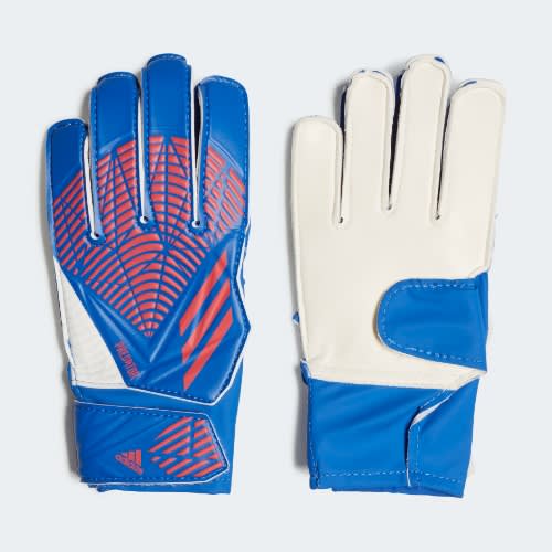 Predator Training Gloves.