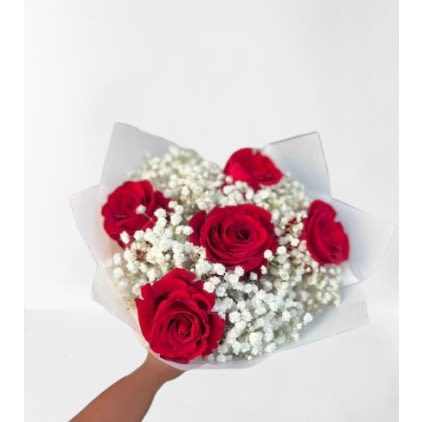 5 Red Roses & Gypso Mix.