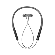 Earphones &amp; Headsets