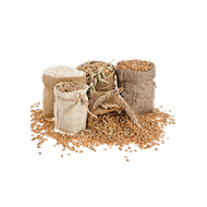 Agriculture