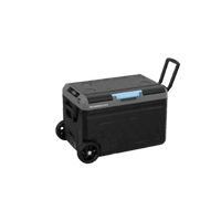 Bottom Freezers 