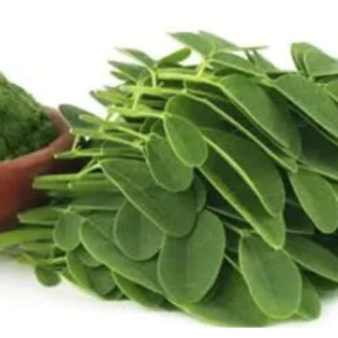 Moringa Powder 100g - View 3