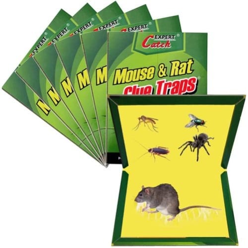 Mouse & Rat Glue Trap Board - 3 Boards - View 1