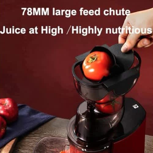 Whole Slow Juice Extractor - 0.6L - 300W - View 2