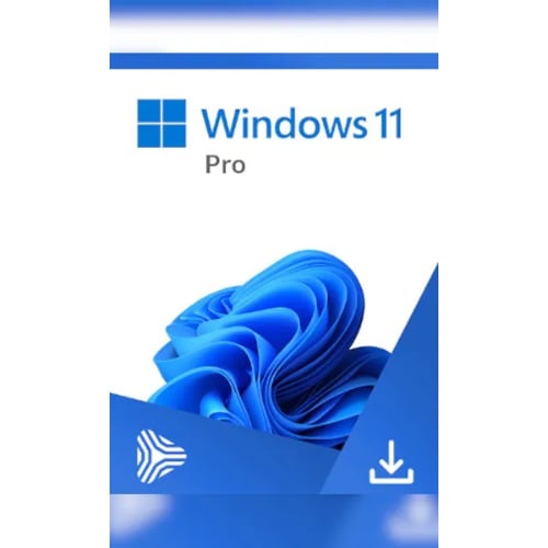 Windows 11 Pro License - View 3