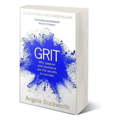 Grit - The Power Of Passion And Perseverance By Angela Duckworth - View 2