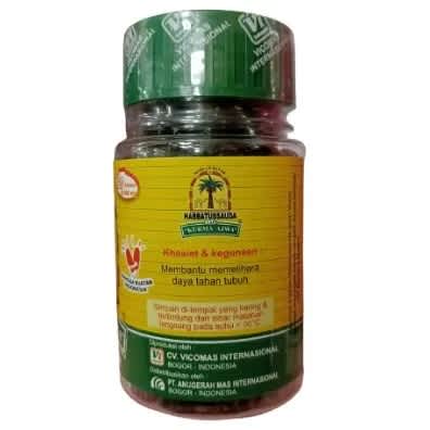 Habbatus Sauda 100% Natural Blackseed Capsules -600mg - View 3