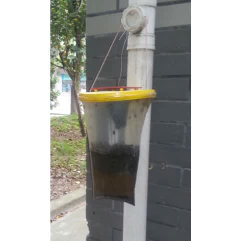 Fly Catcher /Insects Trapper - Eco Trap - 4L Bag - View 4