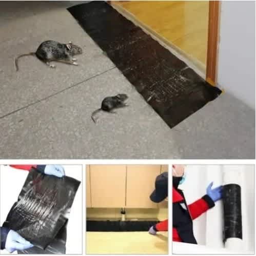 Sticky Rat & Mouse Catcher - View 3