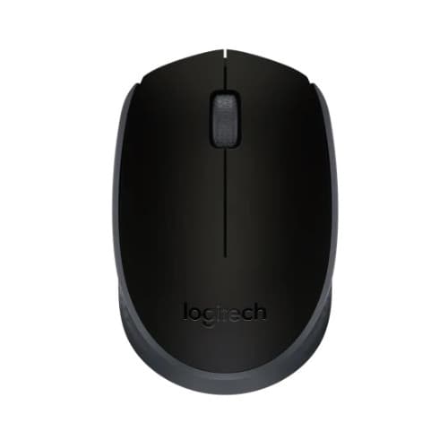 Logitech Wireless M171 Mouse Plug & Play Simplicity - Black - View 1