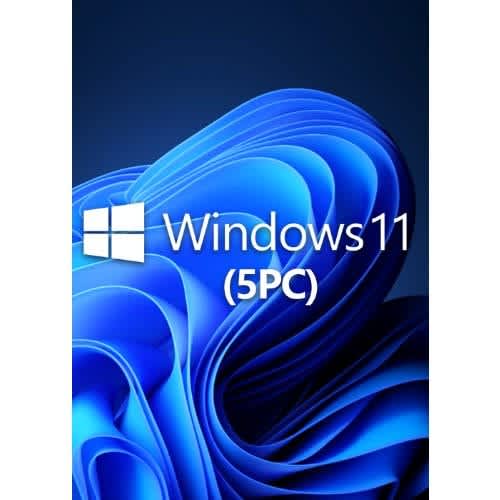 Window 11 Professional - 5 Devices