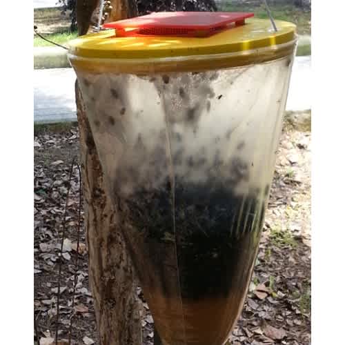 Fly Catcher /Insects Trapper - Eco Trap - 4L Bag - View 2