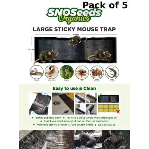 Large Sticky Mouse Trap Rat Gum Trap + Bonus Pair Of Gloves - 5 Pcs | Black - View 2