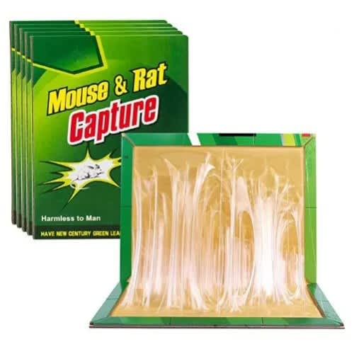 Mouse & Rat Glue Trap Board - 3 Boards - View 2