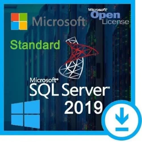 Sql Server 2019 Standard Edition - View 1