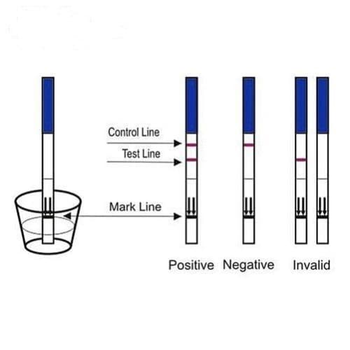 P-test Pregnancy Test Strips - 50 Strips For 50 Tests - View 3