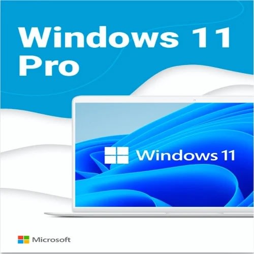 Window 11 Professional Lifetime License - View 2