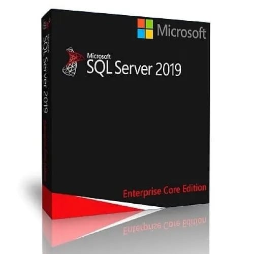 Sql Server 2019 Standard Edition - View 3