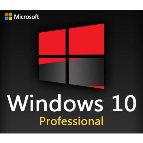 Windows 10 Professional - 1 User