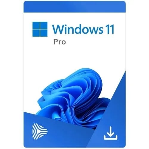Window 11 Professional - 5 Devices - View 3