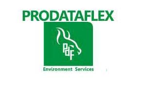 Prodataflex Services