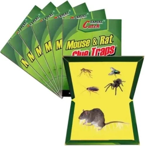 Green Leaf Mouse & Rat Glue Trap - 2pcs- 8by 60cm