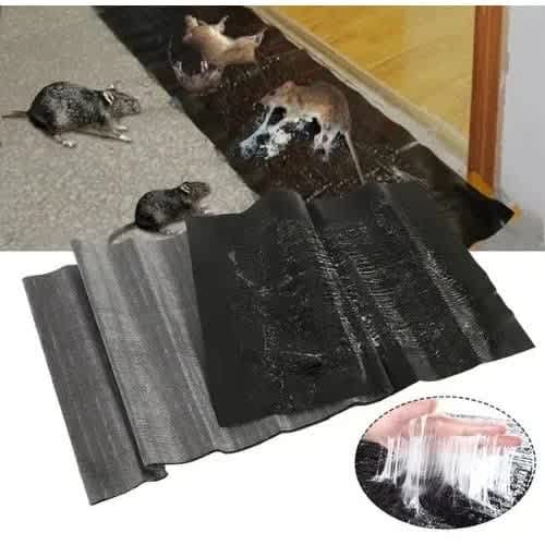 Sticky Rat & Mouse Catcher