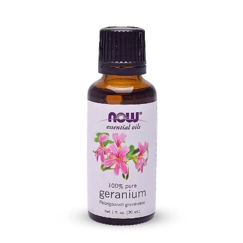 Oils Geranium -- 1 Fl Oz