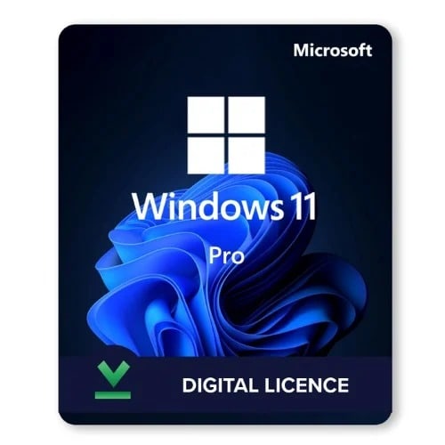 Window 11 Professional Lifetime License