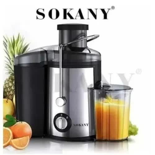 High Speed Power Juice Extractor - 1000W - 2L