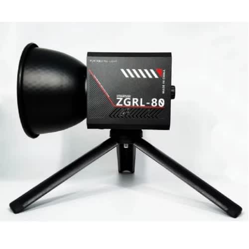 Portable Fill Light Zgrl-80 Palm Photography Led Light