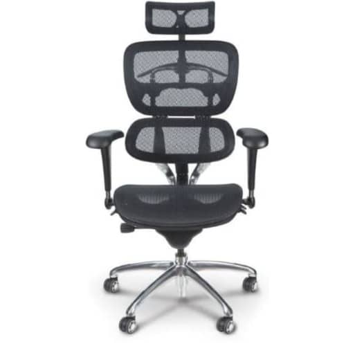 Ergonomic Lumbar Support Chair For Back Pain