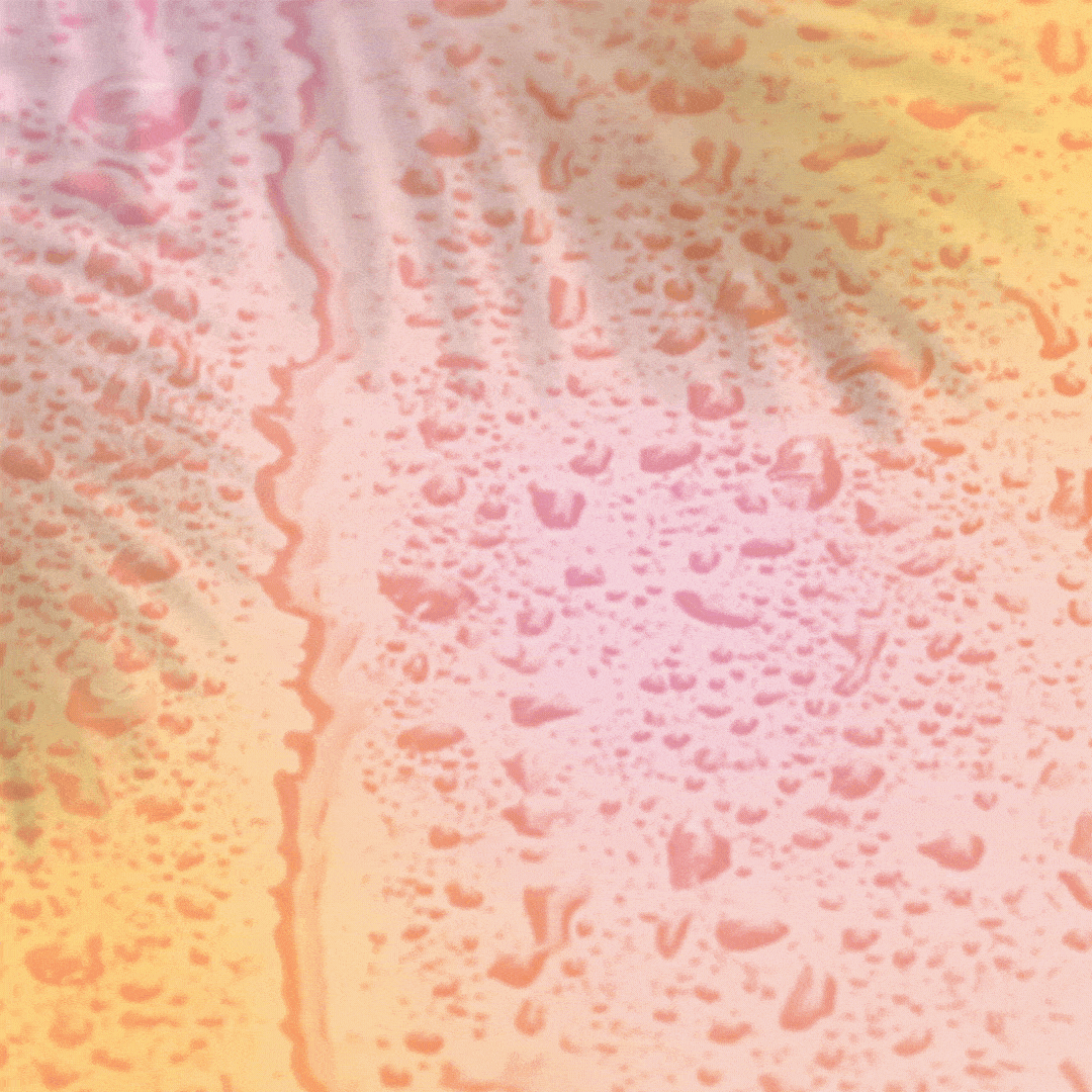 Beauty House GIF