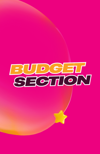 Budget Section