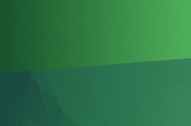 Flash Sale Banner