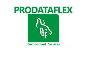 Prodataflex Services.