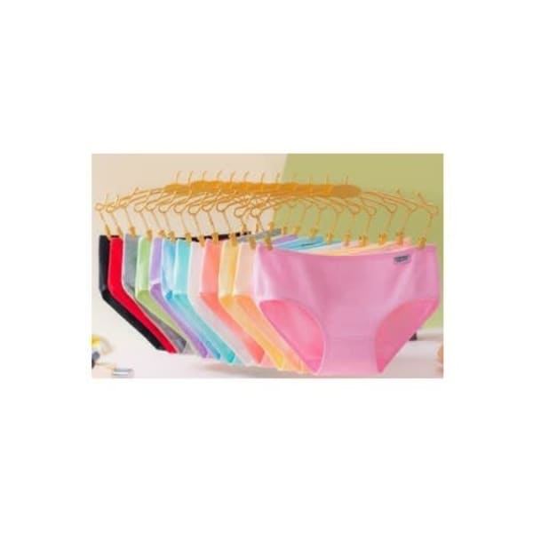 Ladies Net Panties - 6pieces