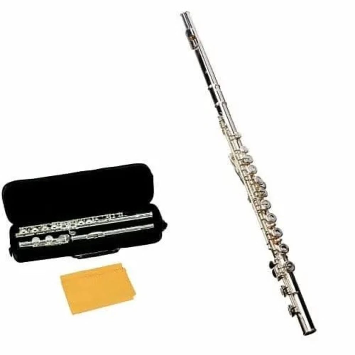 Flute shopping on sale