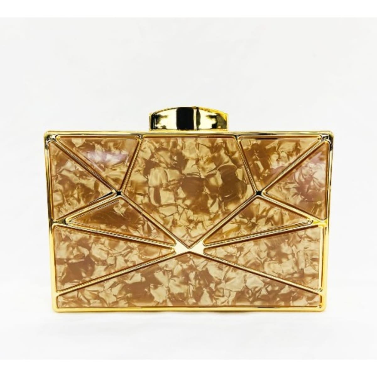 Acrylic deals clutch purse