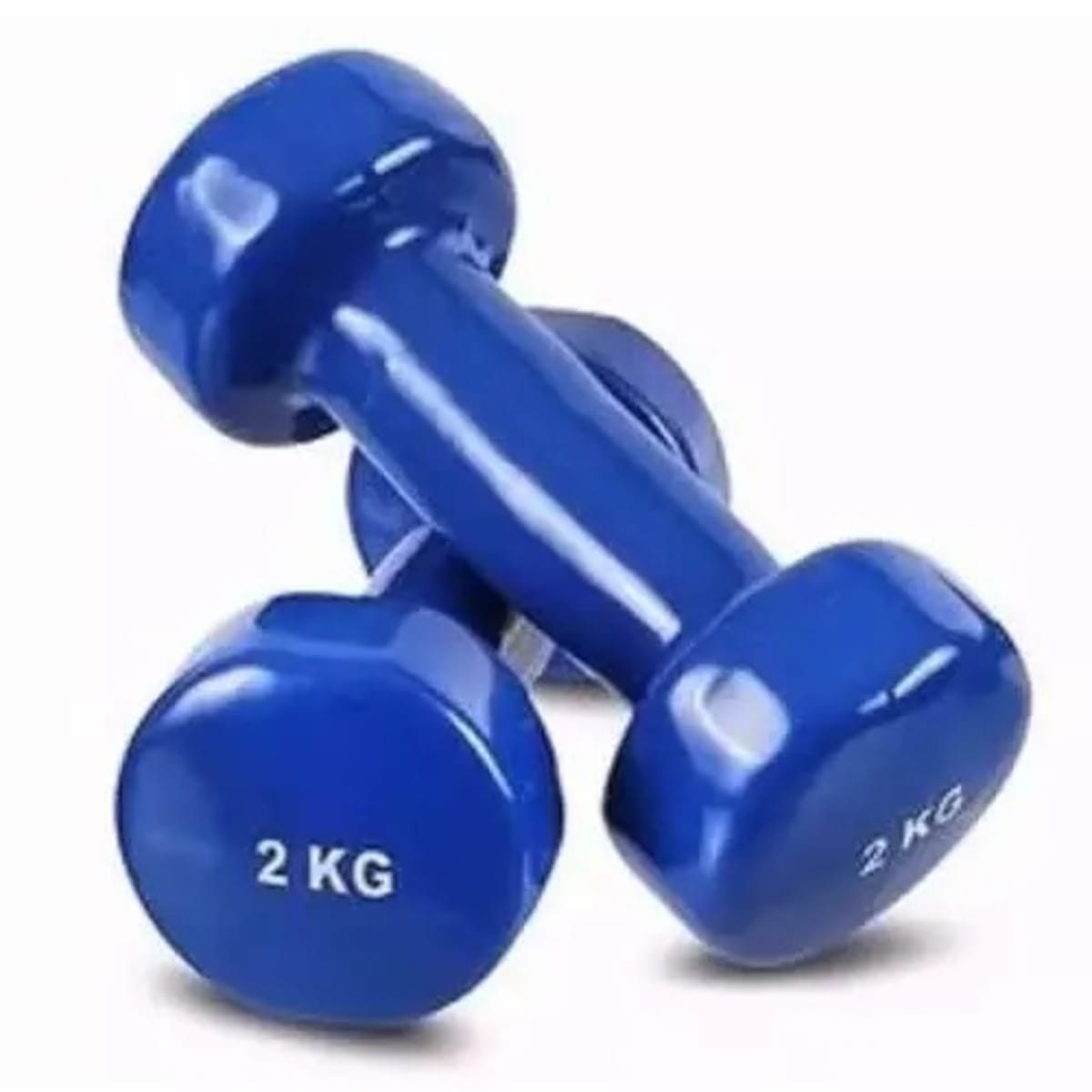 Dumbbell Set 2kg Pair Blue Konga Online Shopping
