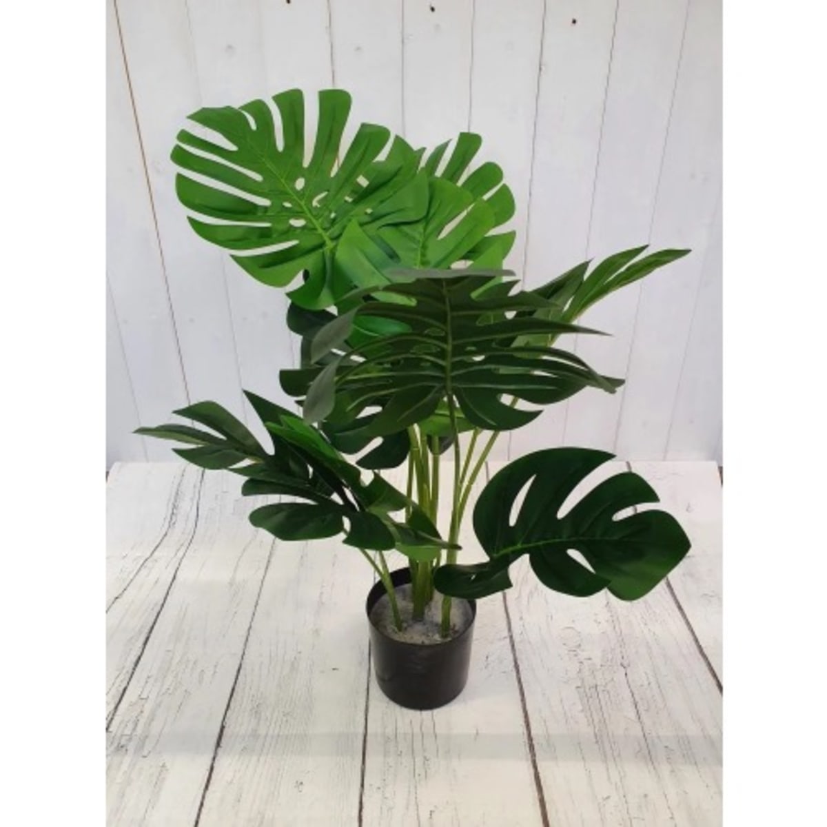 Artificial cheese store plant