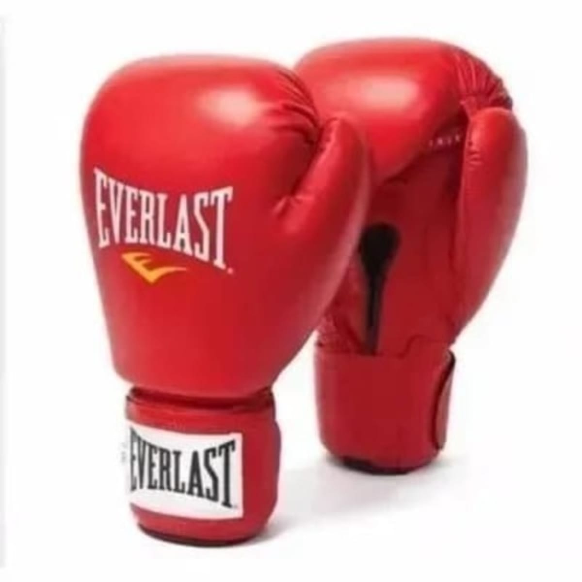 Everlast 10oz gloves deals