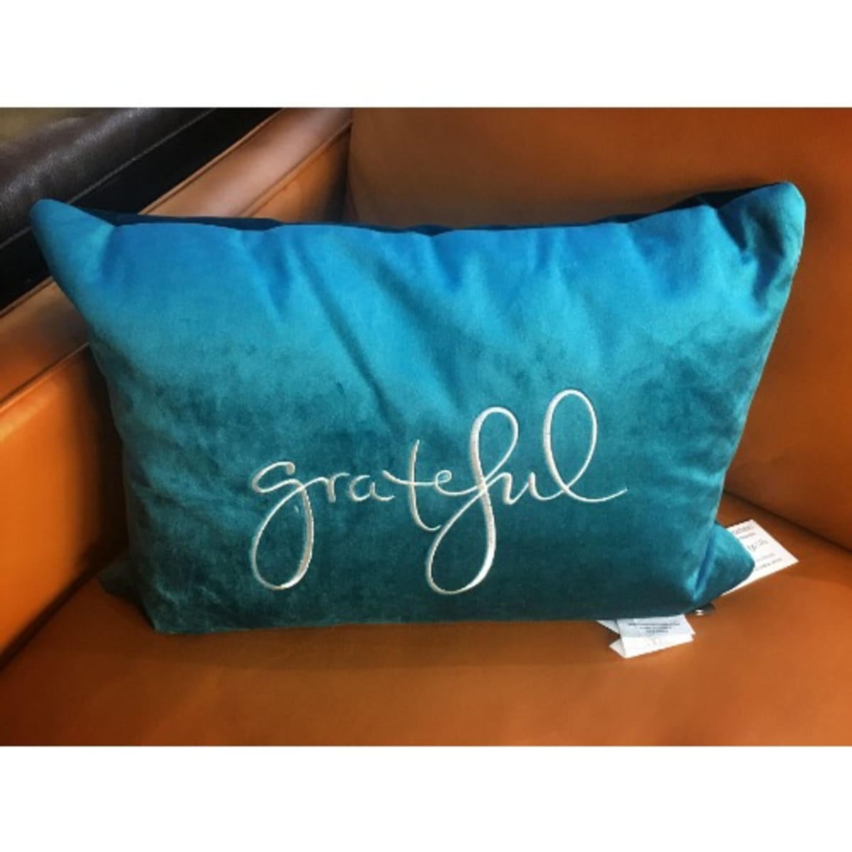 Rodeo home brand store pillows