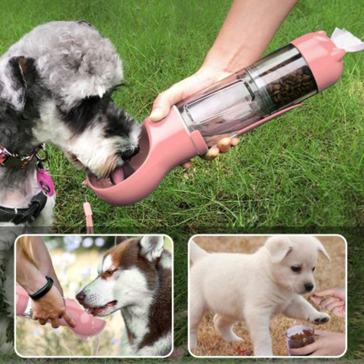 TD 4 In 1 Water Bottle For Dog Pet Pink Konga Online Shopping