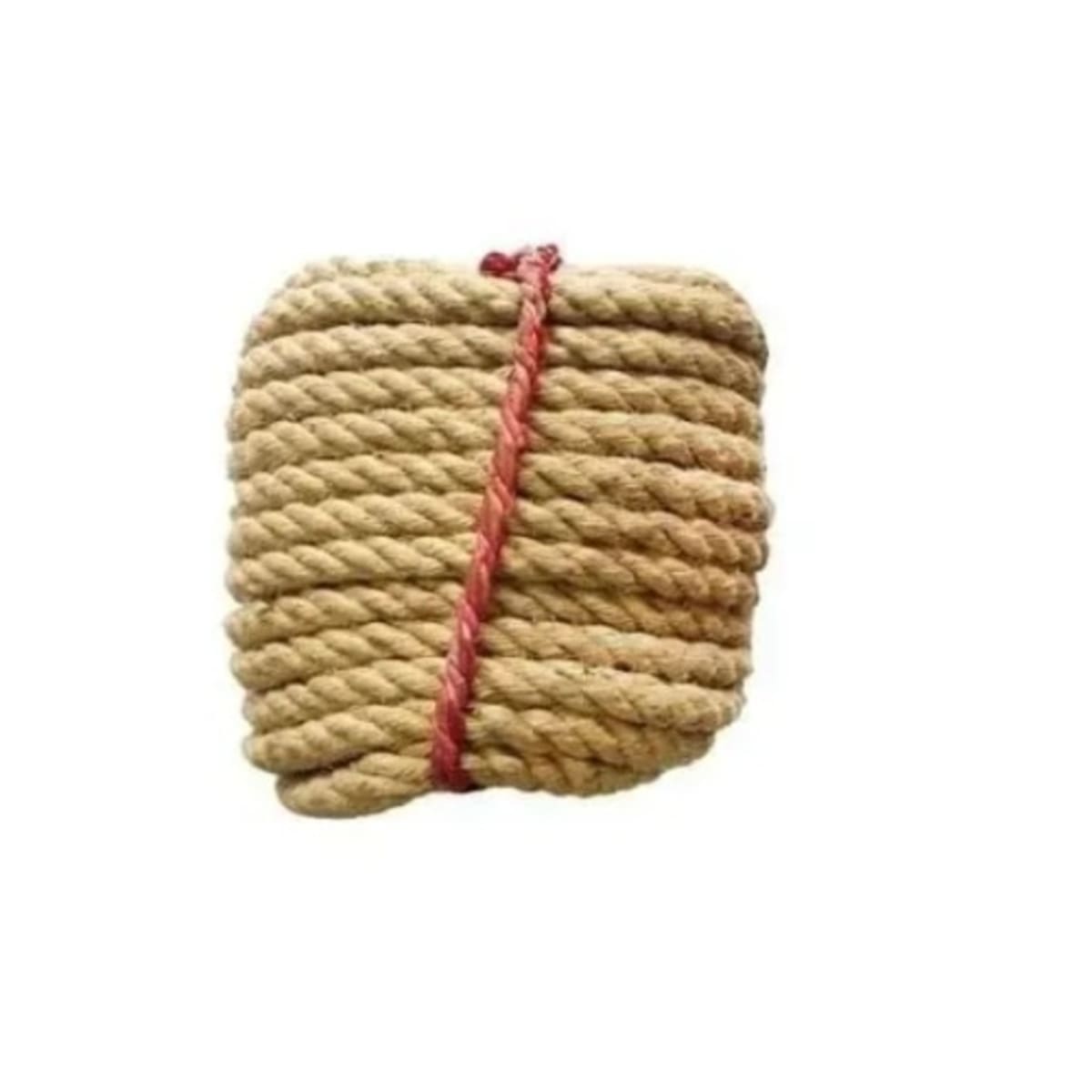 Rope tug 2025